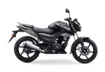 tvs raider 125 wicked black